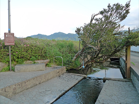 湧沢津水源(3)