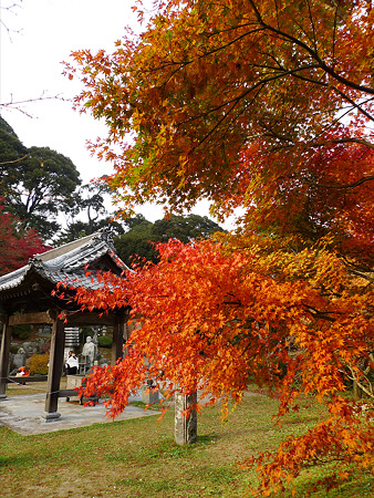雷山千如寺大悲王院(28)