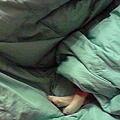 Photos: 2011020121470000