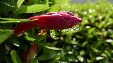 P1080501