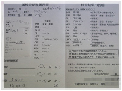 20120715 おちっこ検査