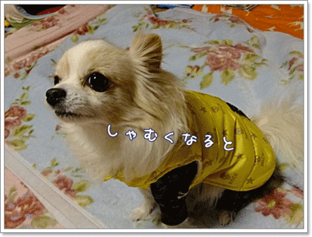 寒くなると