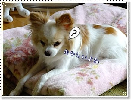 おかしい