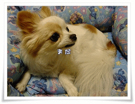 まだ降る?