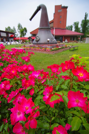 IMGP3336