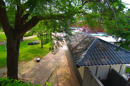 IMGP6642