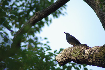 IMGP0079