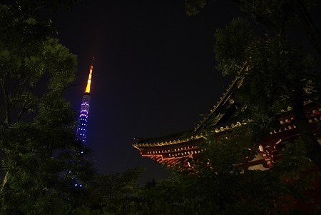 サムライブルー東京タワー (31)