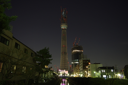 スカイツリーな夜