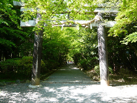 2011.5.8 061