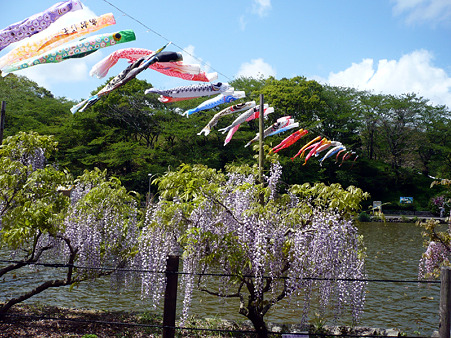 fuji5