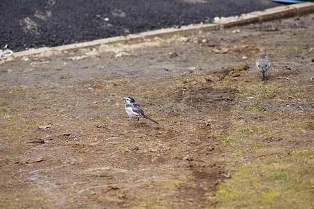 DSC05964