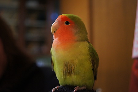DSC08702