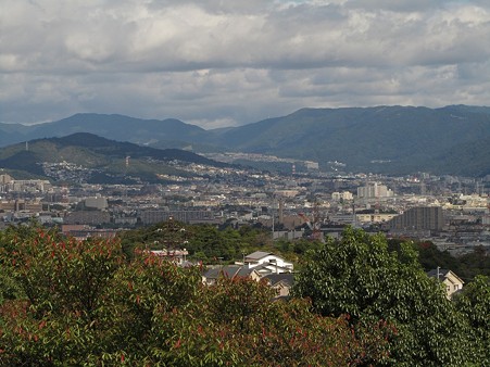 20101010 甲山森林公園011