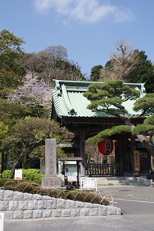 長谷寺