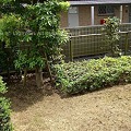 Photos: 庭の草刈