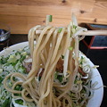 Photos: 麓郷舎　ネギ森　味噌　麺