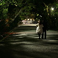 Photos: 夜中に神社でデート？